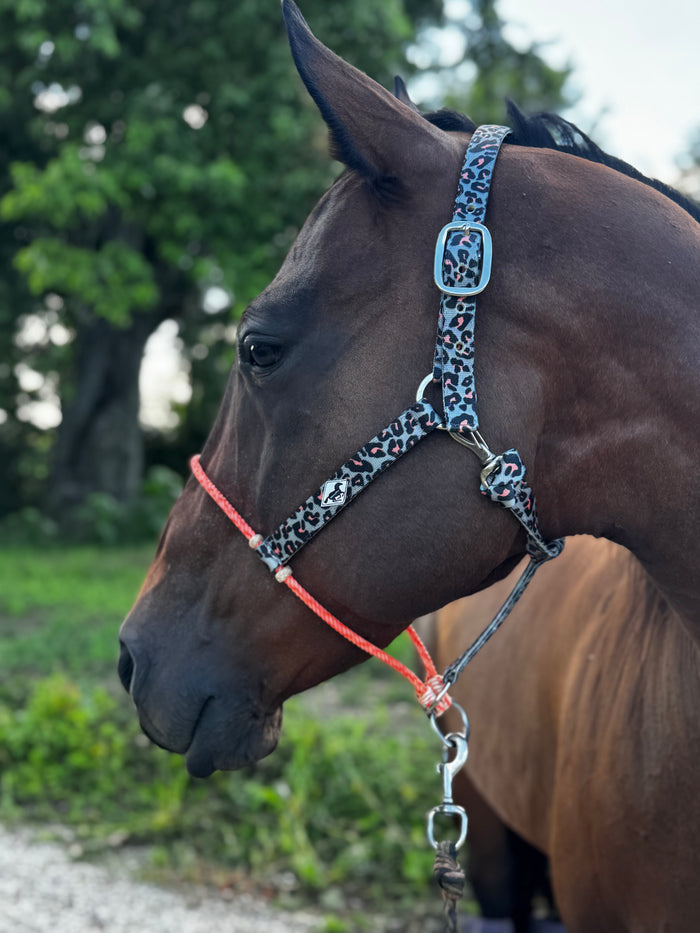 Coral Cheetah/Lariat Nose Halter
