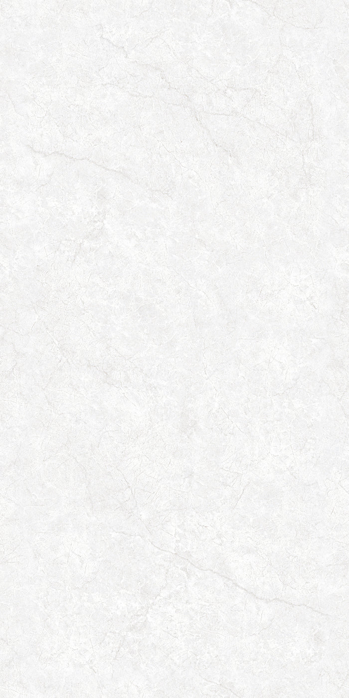 Bottega Oyster Bianco - Endless Glossy 80X160