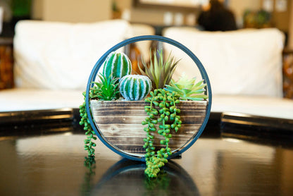 11" Round Wood + Metal Wall Succ mix