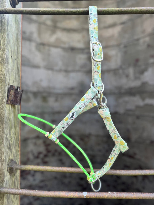 Tacos & Tight Turns/Lariat Nose Halter