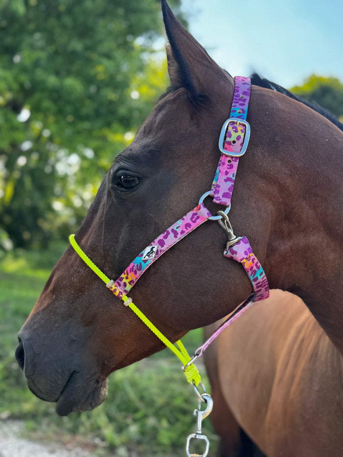 80’s Cheetah/Lariat Nose Halter