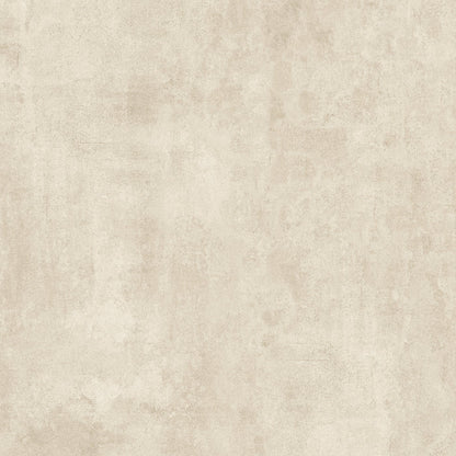 Artisan Lithic Latte R10 Mute 120X120