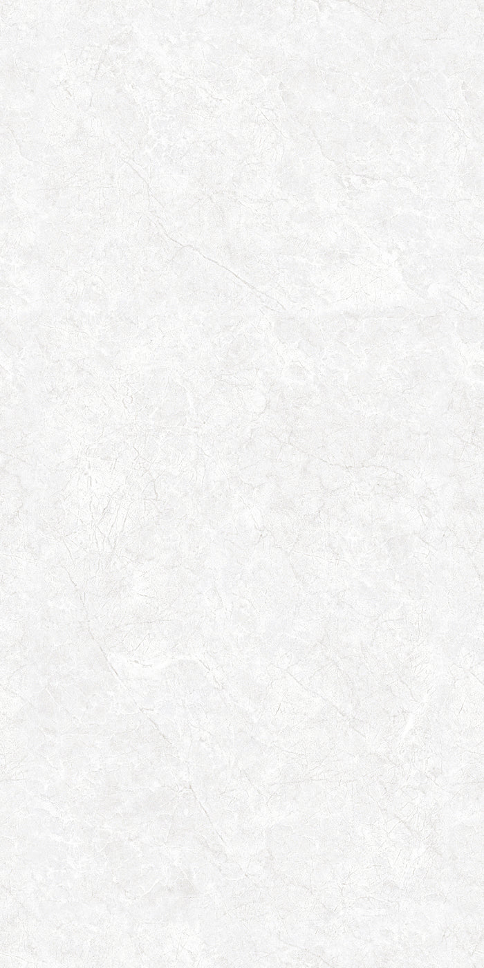 Bottega Oyster Bianco - Endless Glossy 80X160