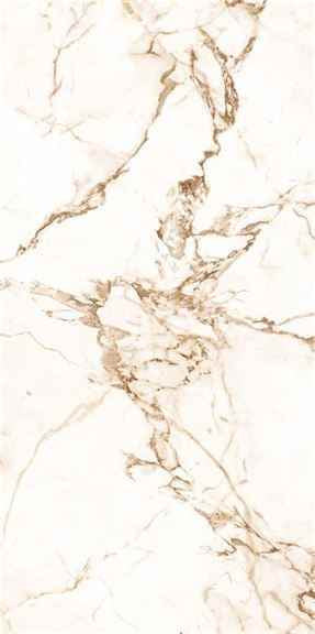 Calacutta Macchia Vecchina Lustrous 120X240