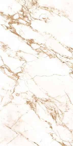 Calacutta Macchia Vecchina Lustrous 120X240
