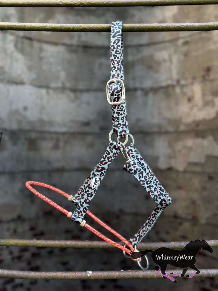 Coral Cheetah/Lariat Nose Halter