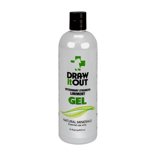 Draw It Out® 16oz Horse Liniment Gel | Daily Care