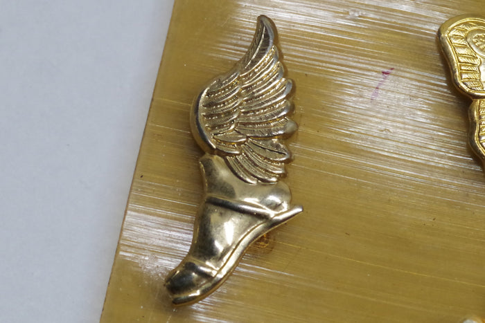 Golden Winged Shoe